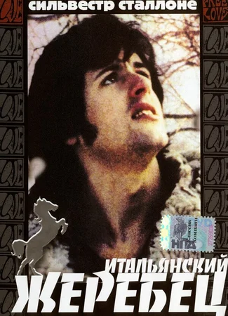 Итальянский жеребец