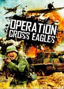 Операция «Орлиный крест»