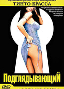 Подглядывающий
