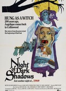 Ночь тёмных теней