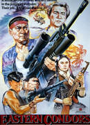 Восточные кондоры