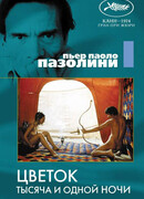 Цветок тысяча и одной ночи