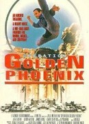 Операция «Золотой Феникс»