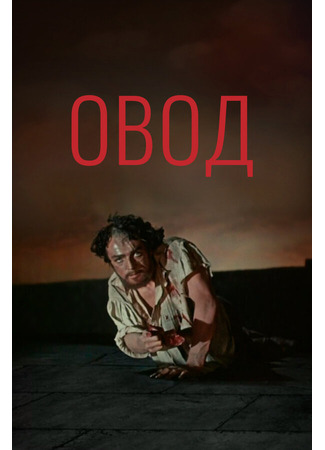 кино Овод 01.03.24