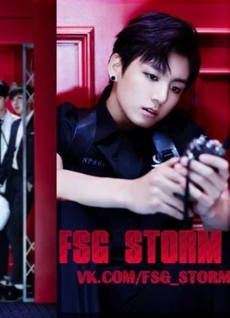 Переводчик FSG STORM 21.03.24