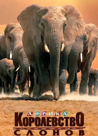 Африка — королевство слонов