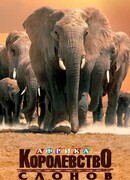Африка — королевство слонов