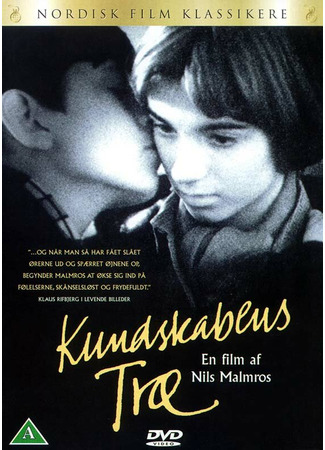 кино Древо познания (Kundskabens træ) 01.04.24
