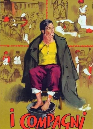 Товарищи