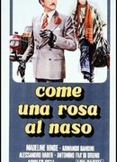 Как роза у носа