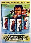 Засада в Томагавк Гэп