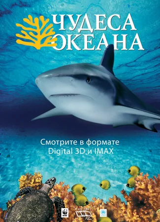 Чудеса океана 3D