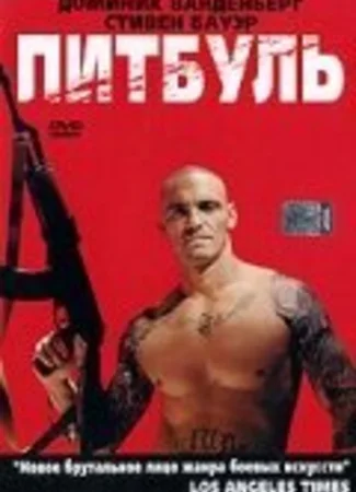Питбуль