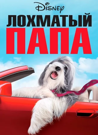 Лохматый папа