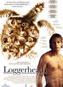 Морские черепахи