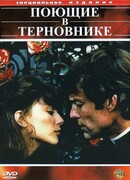 Поющие в терновнике сезон 1