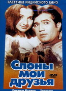 Слоны — мои друзья