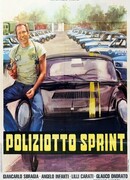 Полицейский гонщик