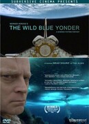 Далекая синяя высь