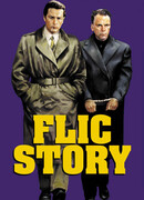 Полицейская история