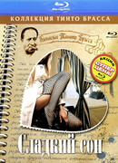 Сладкий сон