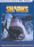 В поисках больших акул