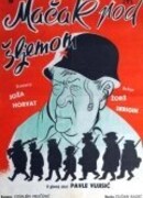 Кот под шлемом