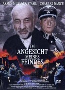 В присутствии моих врагов