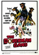 Шайка доберманов