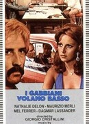 Чайки летают низко