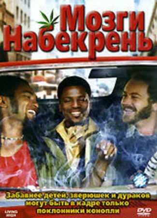 Мозги набекрень