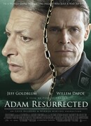 Воскрешенный Адам
