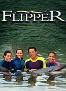 Флиппер сезон 1