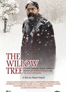 Ивовое дерево