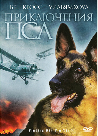 кино Приключения пса (Finding Rin Tin Tin) 01.04.24