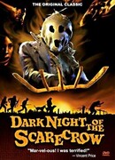 Тёмная ночь пугала