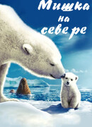 Мишка на Севере