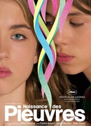 Водяные лилии