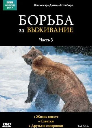 BBC: Борьба за выживание