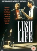 Шикарная жизнь