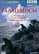 BBC: Галапагосы сезон 1