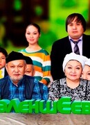 Семья Паленшеевых сезон 1