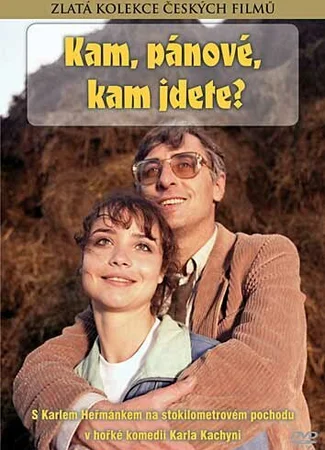 Куда, товарищи, куда идете?