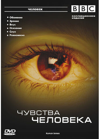 кино BBC: Чувства человека (Human Senses) 27.04.24