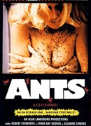 Муравьи убийцы