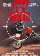 Молитесь за Диких кошек