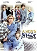 Обещание сына