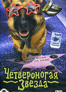 Четвероногая звезда