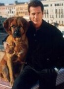 Собачье дело сезон 1