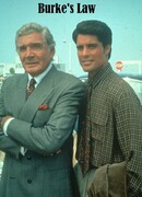 Правосудие Берка сезон 2